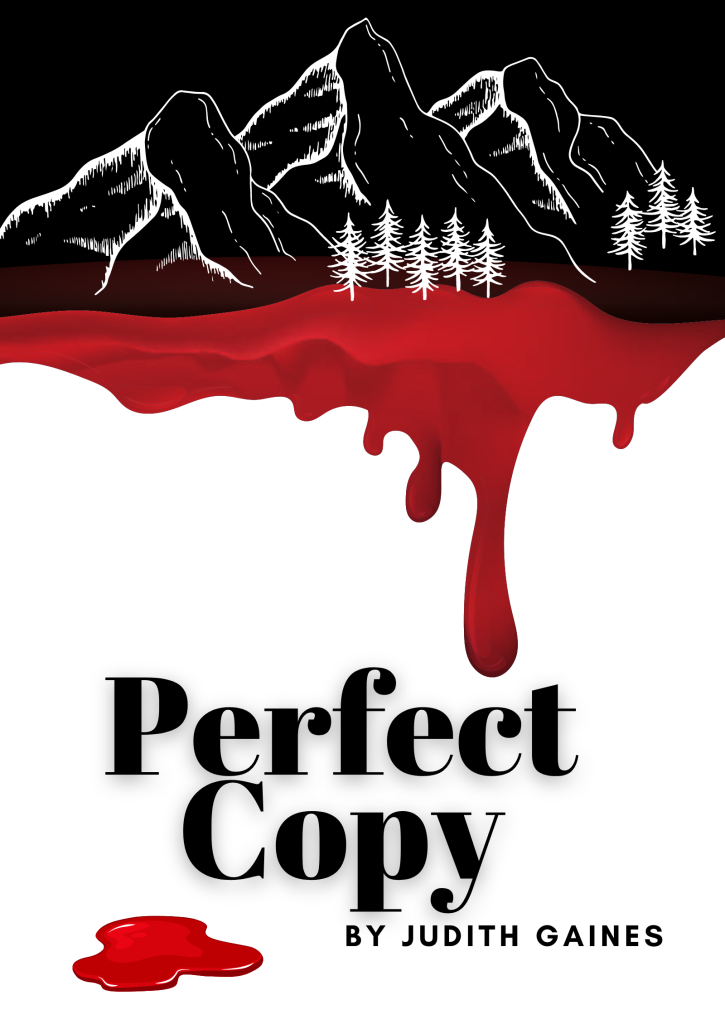 Book Cover - Perfect Copy
